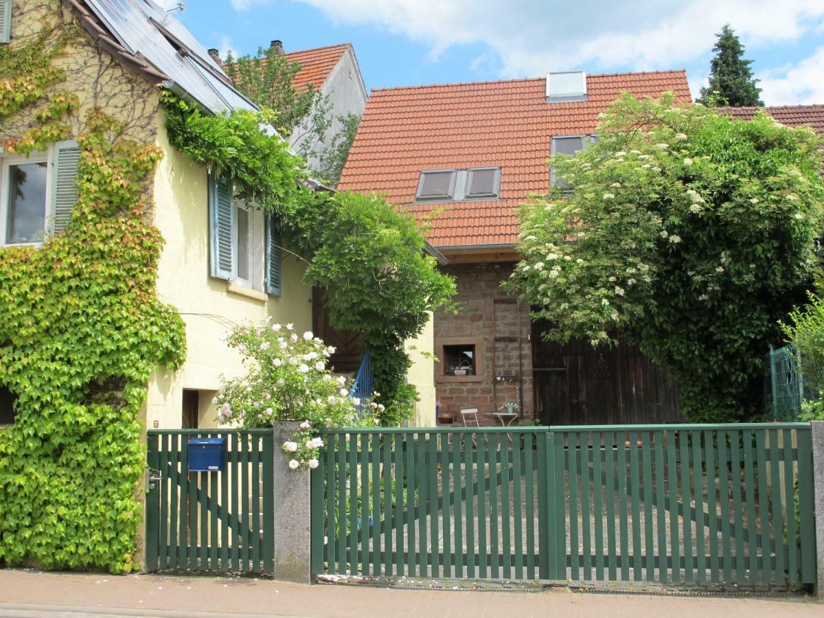 Ferienwohnung Spessart Strassbessenbach 外观 照片